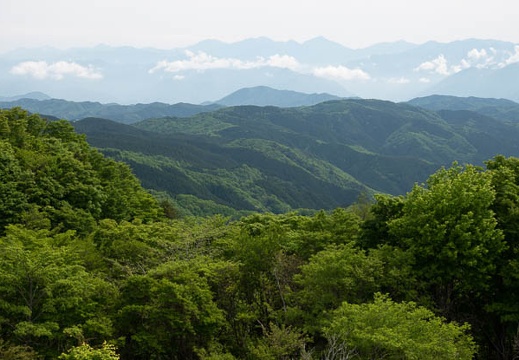 201805210852-DSC04960.jpg