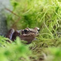 201805211053-DSC05213.jpg