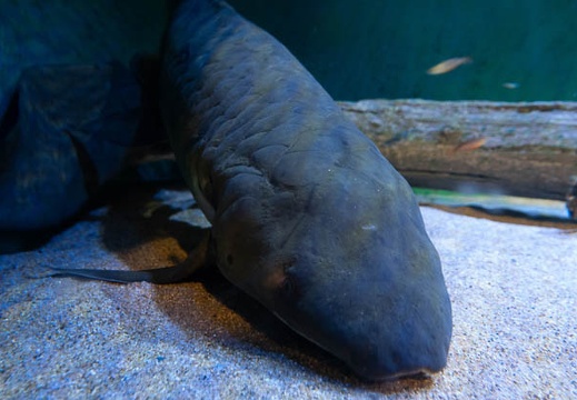 201805211546-DSC05247.jpg