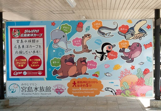 201806011041-DSC05999.jpg
