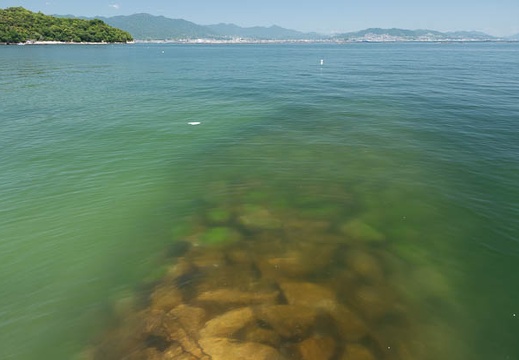 201806011121-DSC06021.jpg