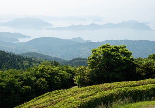 201806020904-DSC06495.jpg