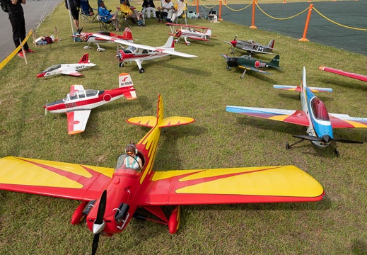 201806030844-DSC07527.jpg
