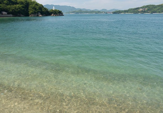 201806041402-DSC09747.jpg