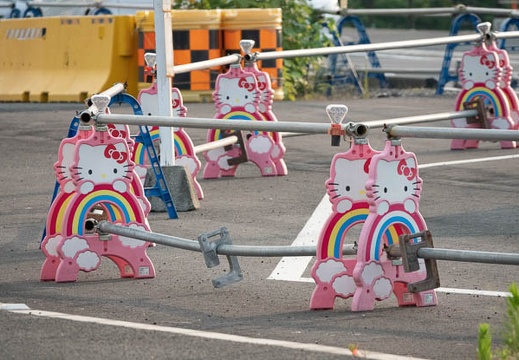 201806041751-DSC09874.jpg