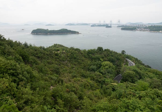201806050826-DSC00097.jpg