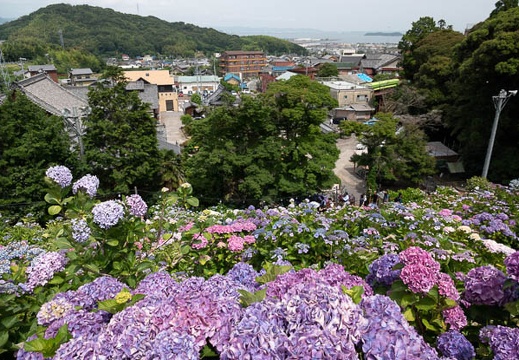 201806141340-DSC00354RX10M4.jpg