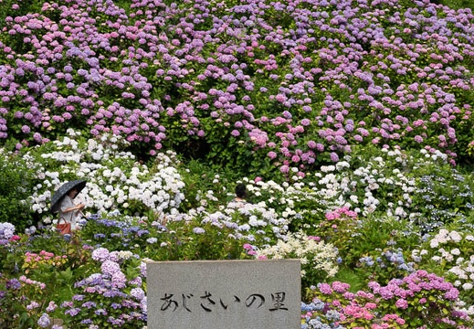 201806141426-DSC00471RX10M4.jpg