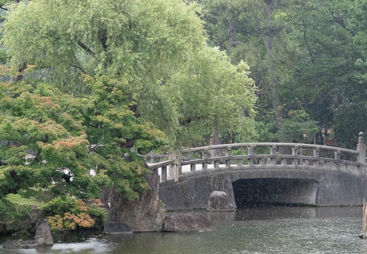 201806231208-DSC01004RX10M4.jpg