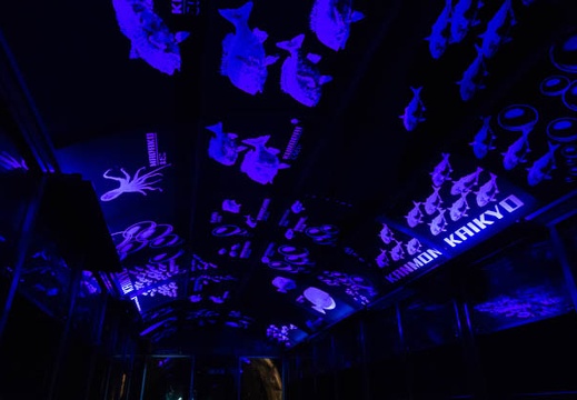 201807281249-DSC08231RX10.jpg