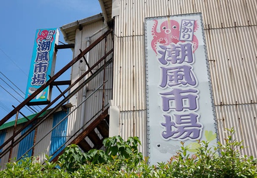 201807281253-DSC08233RX10.jpg