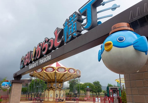 201807291227-DSC08447RX10.jpg