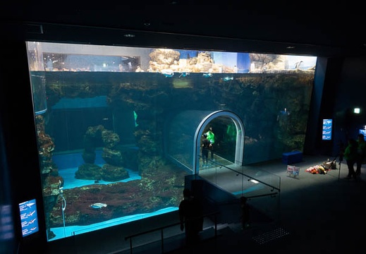 201807291331-DSC08676RX10.jpg