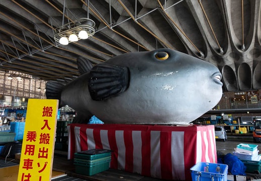 201807301348-DSC08884RX10.jpg