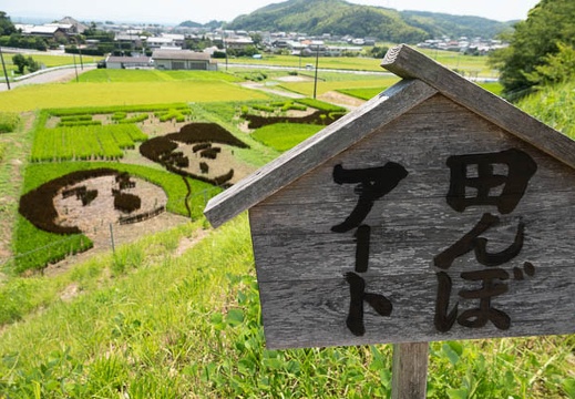 201808061212-DSC02281RX10.jpg