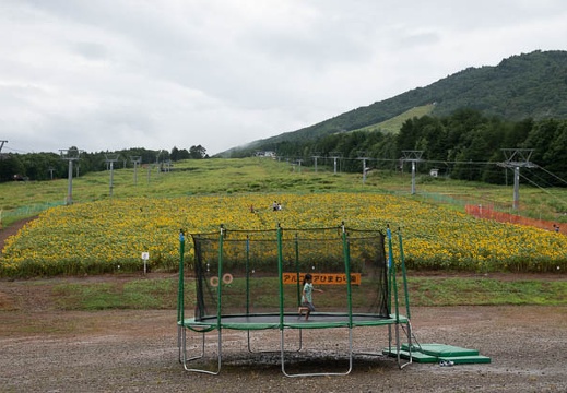 201808131449-DSC02409RX10.jpg