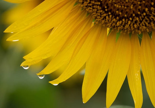 201808131539-DSC02457RX10.jpg
