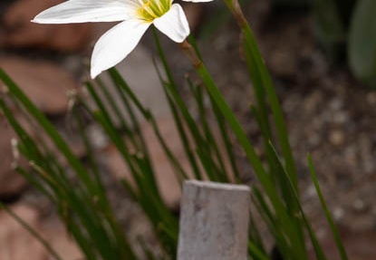 201808191323-DSC03166RX10M4.jpg