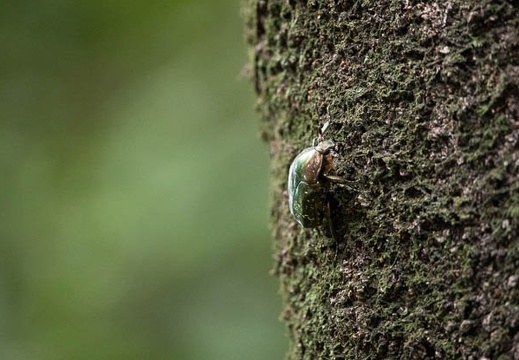 201808191405-DSC03287RX10M4.jpg