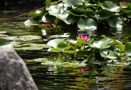 201808251142-DSC03398RX10M4.jpg