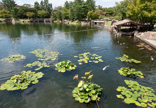 201808251143-DSC03404RX10M4.jpg