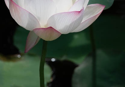 201808251147-DSC03418RX10M4.jpg