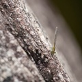 201808251148-DSC03419RX10M4.jpg