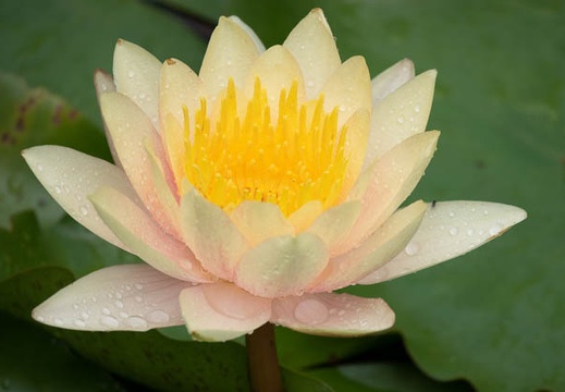 201808301126-DSC03623RX10M4.jpg