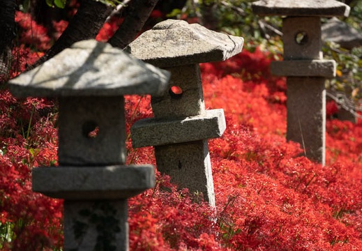 09.27 秋吉台