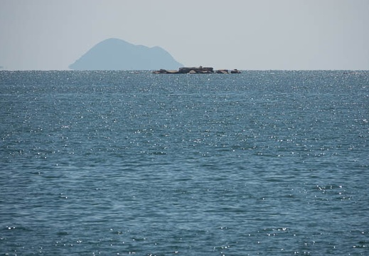 201809281058-DSC04675RX10M4.jpg