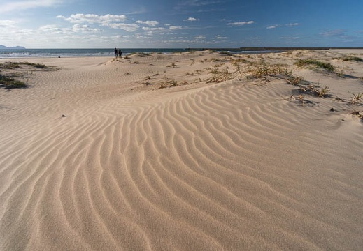 201810201543-DSC08159N5R.jpg