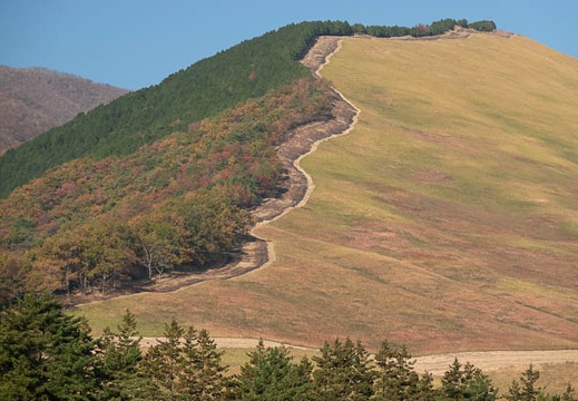 201811110829-DSC02236RX10M4.jpg