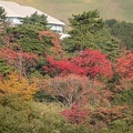 201811110851-DSC02316RX10M4.jpg