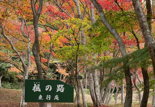 201811151213-DSC03283RX10M4.jpg