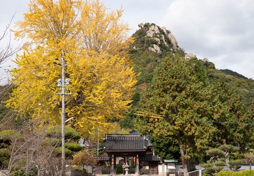 201811231203-DSC03748RX10M4.jpg