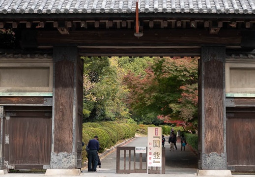 201811231249-DSC03849RX10M4.jpg