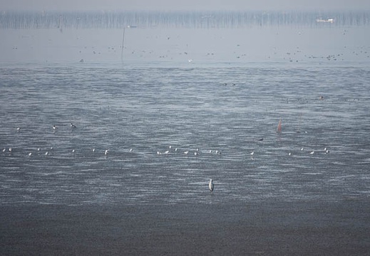 201901190950-DSC07901RX10M4.jpg