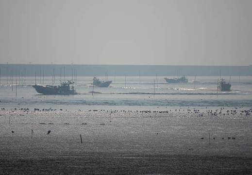 201901190953-DSC07909RX10M4.jpg