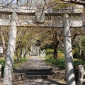 201903261104-DSC00752RX10M4.jpg