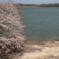 201904041046-DSC02497RX10M4.jpg