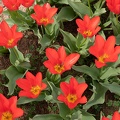 201904161507-DSC07763RX10M4.jpg