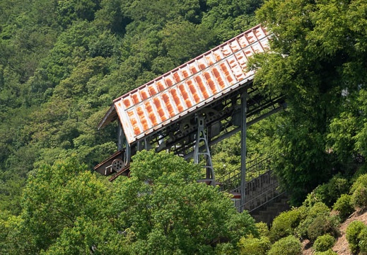 201908051332-DSC04160RX10M4.jpg