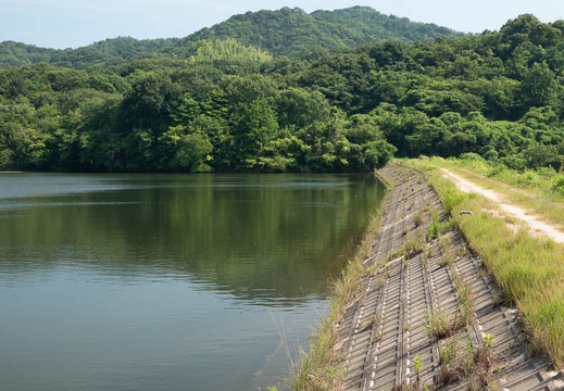 201908051450-DSC04203RX10M4.jpg
