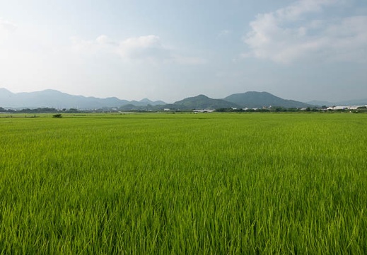 201908051631-DSC04258RX10M4.jpg