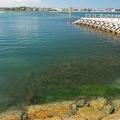 201908131151-DSC04832RX10M4.jpg
