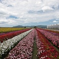 201908141150-DSC04984RX10M4.jpg