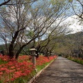201910041048-DSC08894RX10M4.jpg