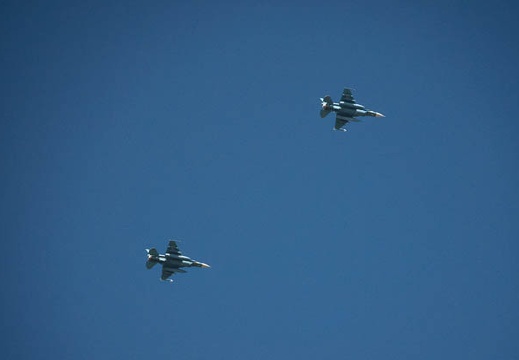 201910161126-DSC03607RX10M4.jpg