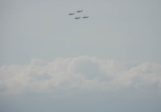 201910201002-DSC05068RX10M4.jpg