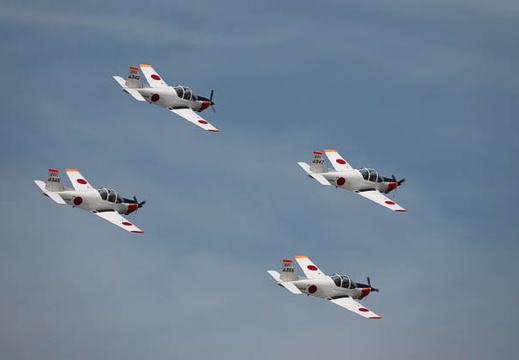 201910201005-DSC05122RX10M4.jpg